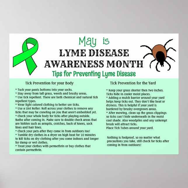Lyme Disease Prevention Educational Poster (Vorne)