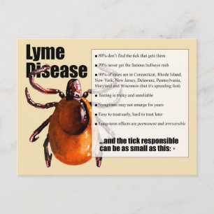 Lyme-Erkrankung Postkarte