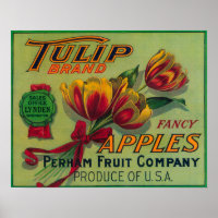 Lynden, Washington Tulip Apple Crate Label