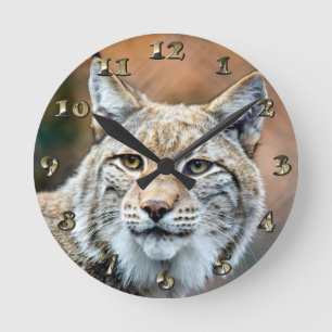 Lynx Bobcat Wildlife Predator Cat Runde Wanduhr