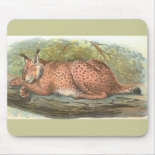 Lynx, Felis lynx Mousepad