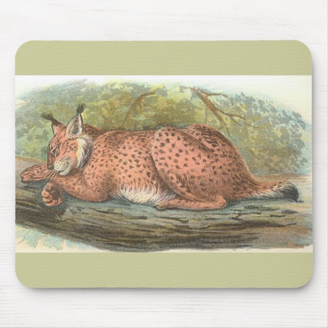 Lynx, Felis lynx Mousepad (Vorne)