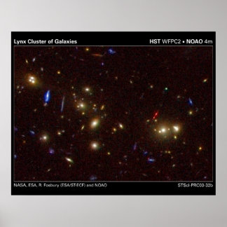 Lynx Galaxiehaufen Poster