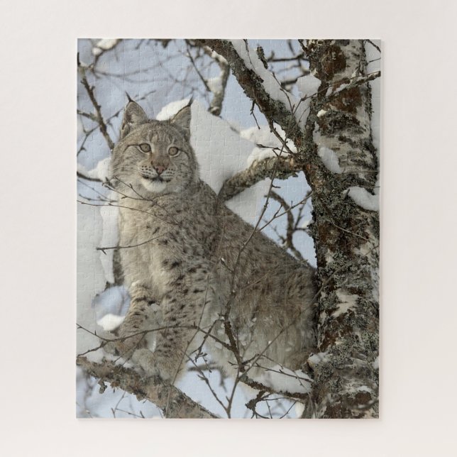 Lynx im Winter Foto Puzzle (Vertikal)