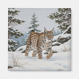 Lynx in Fulufjället Nationalpark Schweden Reisen Magnet