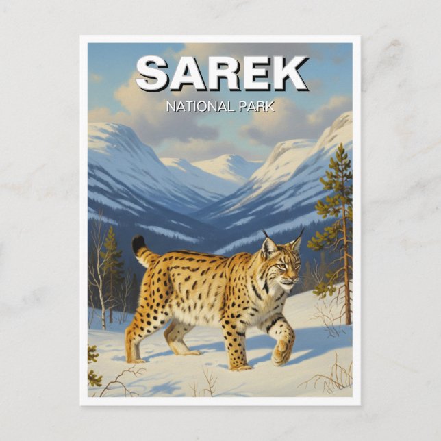 Lynx in Sarek Nationalpark Schweden Reisen Postkarte (Vorderseite)