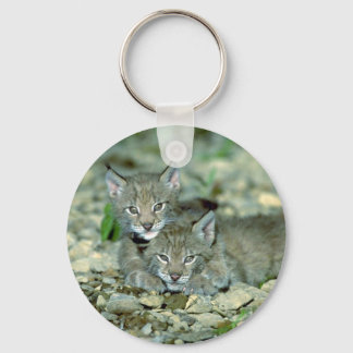 Lynx, junge Kätzchen spielen Schlüsselanhänger