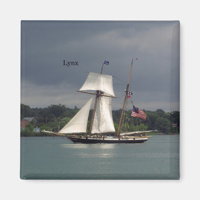 Lynx-Magnet Magnet (Vorne)