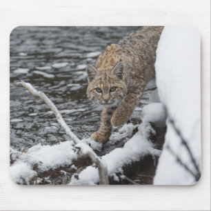 Lynx Mousepad