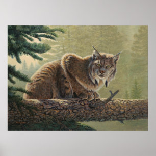 Lynx Painting - Poster
