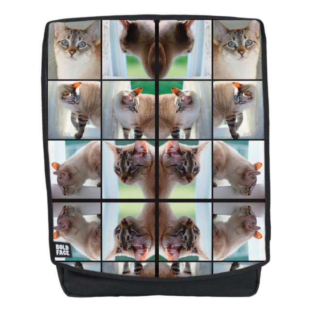 Lynx Point Siamese Cat Rucksack (Vorderseite)