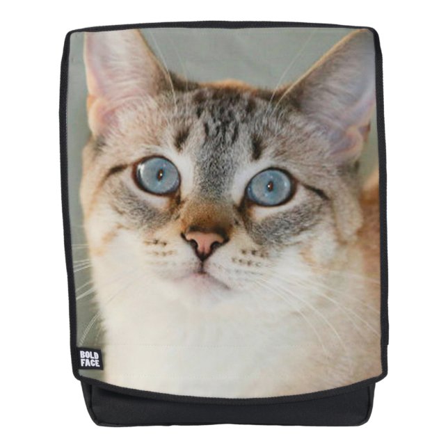 Lynx Point Siamese Cat Rucksack (Vorderseite)