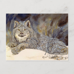 Lynx Postcard Postkarte