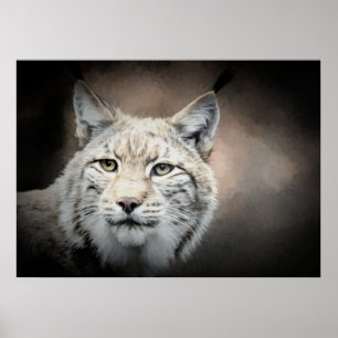 Lynx Poster
