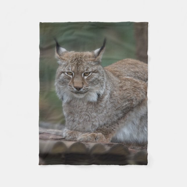 Lynx sieht dich an fleecedecke (Vorderseite)