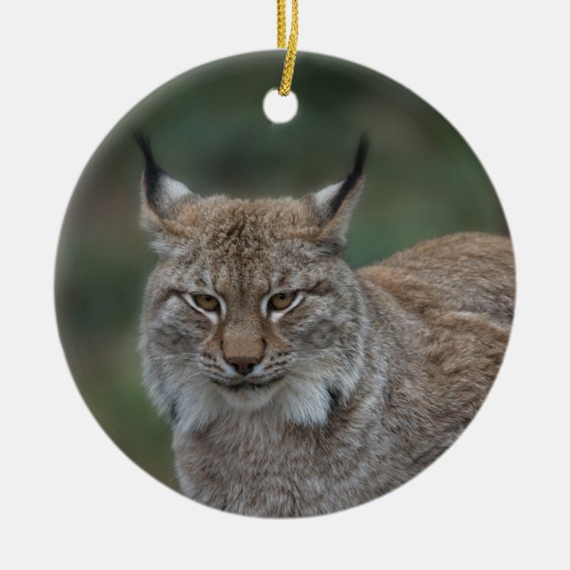 Lynx sieht dich an keramik ornament (Vorne)