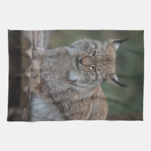 Lynx sieht dich Fleece Blanket an Geschirrtuch
