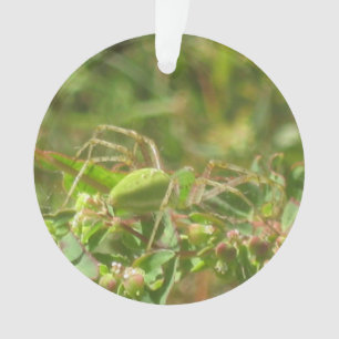 Lynx Spider Ornament
