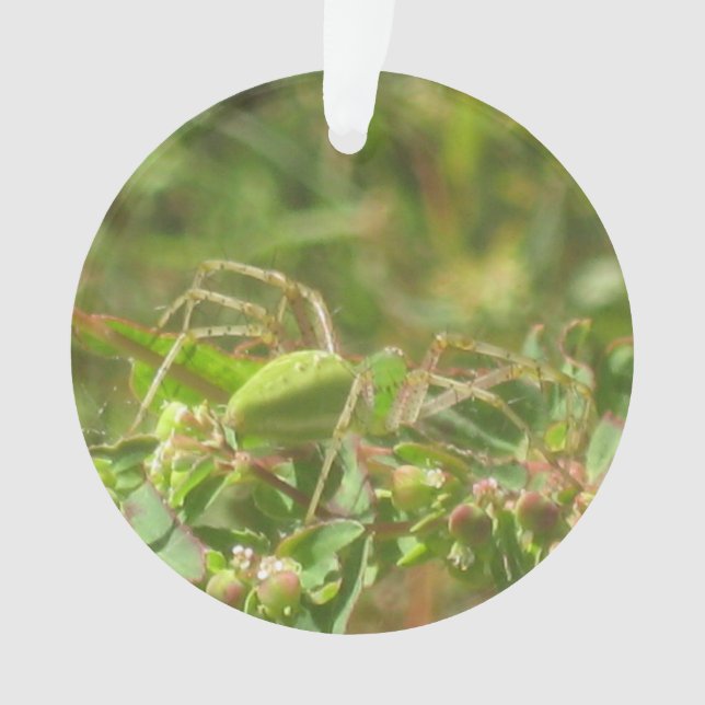 Lynx Spider Ornament (Vorderseite)