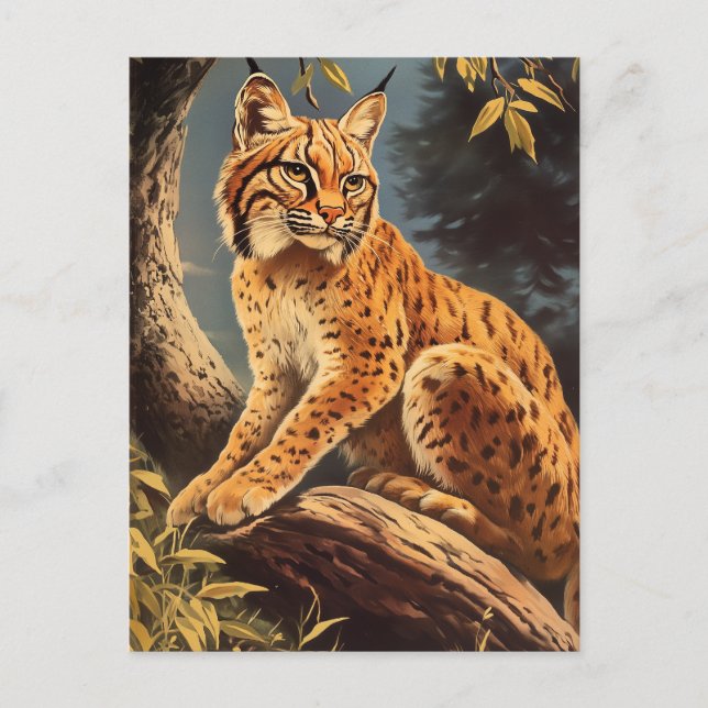 Lynx Vintag Postkarte (Vorderseite)