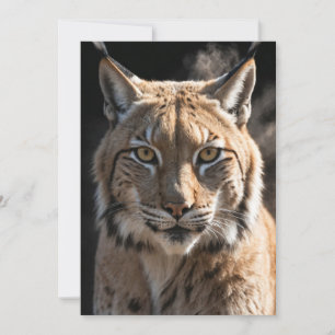 Lynx Wild Animal Elegante Dramatisches Nebelportra Ankündigung