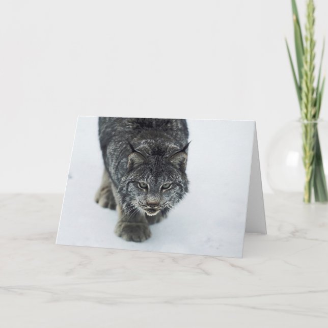Lynx Winter Feiertagskarte (Vorderseite)