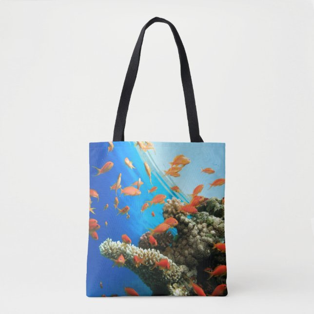 Lyretail anthias auf Korallenriff (Vorderseite)