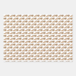 Lyrical Acro Character Shoes Tanzlehrerstudio Geschenkpapier Set