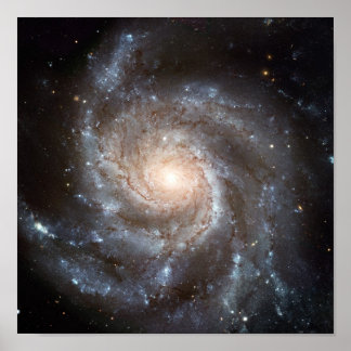 M101 Galaxy Poster