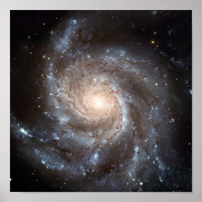 M101 Galaxy Poster (Vorne)