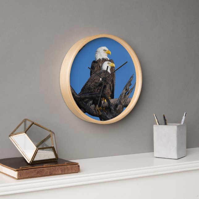 M15 & F23 - Neues Paar in der Nestmauer Uhr (Büro)