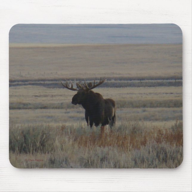 M1 Bull Elch Mousepad (Vorne)
