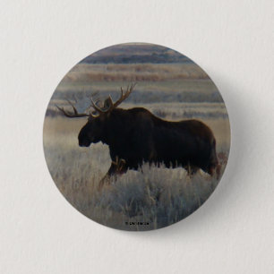 M2 Bull Moose Button
