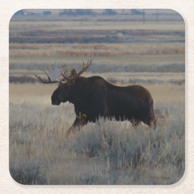 M2 Bull Moose Rechteckiger Pappuntersetzer (Vorderseite)
