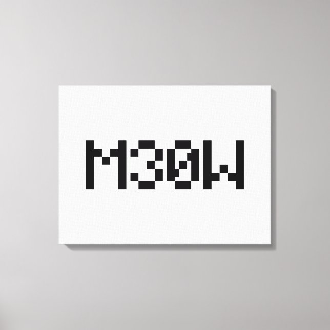 M30W [Leetspeak Animal Sounds] Leinwanddruck (Vorderseite)