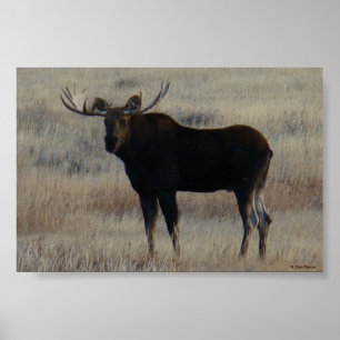 M4 Bull Moose Big Bull Poster