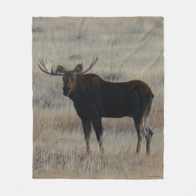 M4 Bull Moose Fleecedecke (Vorderseite)