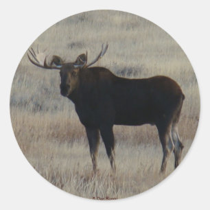 M4 Elchbulle Runder Aufkleber
