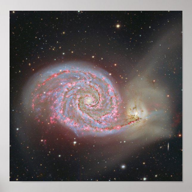 M51 Galaxy Poster (Vorne)
