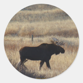M5 Bull Elch Aufkleber