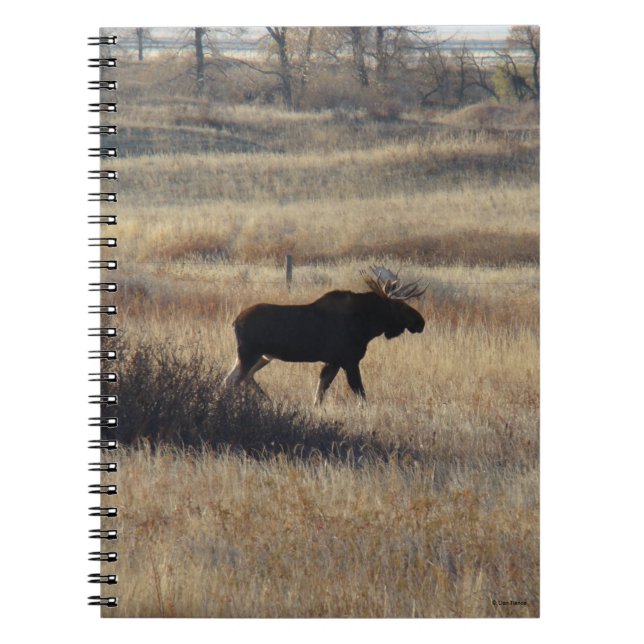 M5 Bull Moose and Sand Hills Notizblock (Vorderseite)