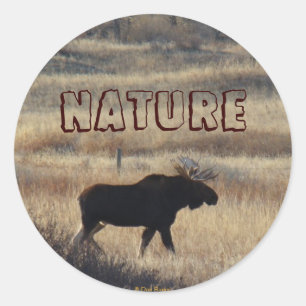 M5 Bull Moose und Sand Hills Runder Aufkleber