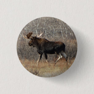 M8 Stier Elche Button