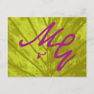 M&G Guestbook Postkarten
