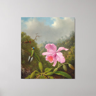 M. HEADE - Bekämpfung von Humingvögeln mit rosa Or Leinwanddruck