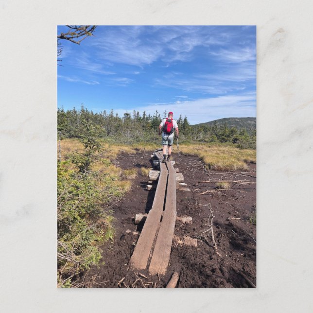 M. Jackson und M. Pierce Bog Bridge Postcard Postkarte (Vorderseite)