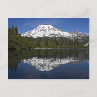 M. Rainier Postcard Postkarte