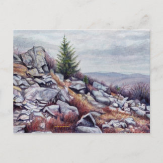 M. Rogers Postcard Postkarte