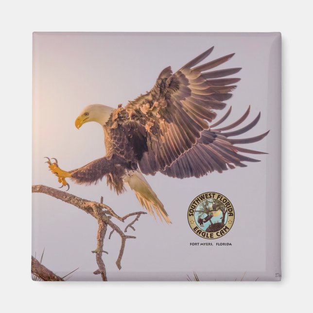 M SWFL Eagle Cam Magnets 2021 Magnet (Vorne)
