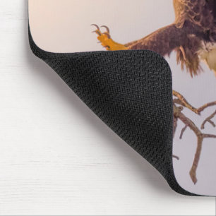 M SWFL Eagle Cam Mouse Pad 2021 Mousepad